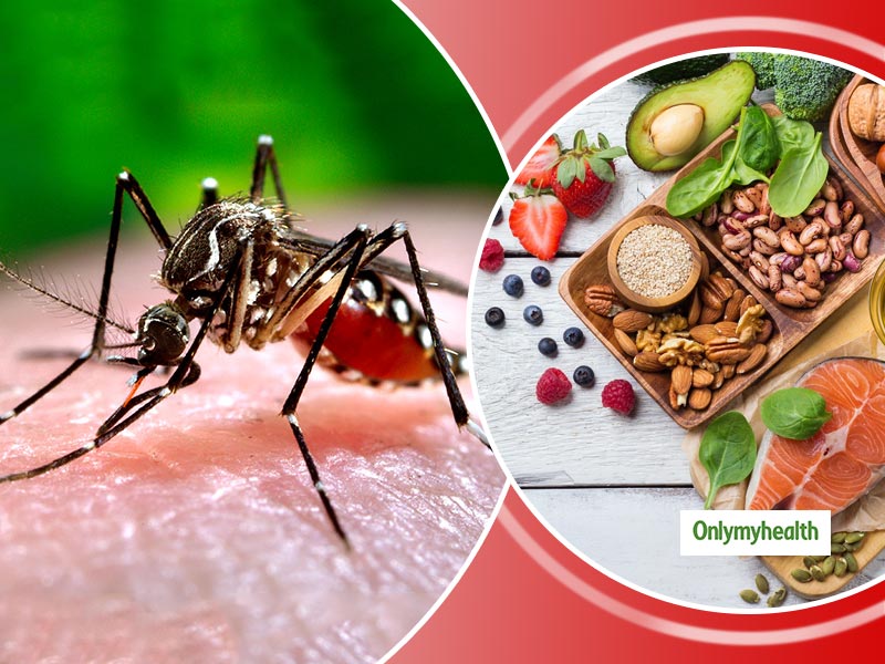 Dengue Prevention Food: डेंगू होने से बचाएंगे ये 7 इम्‍यूनिटी बढ़ाने वाले फूड, बारिश में जरूर करें सेवन 