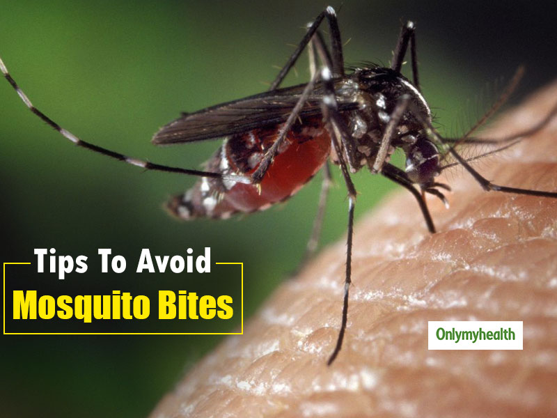 5 Tips To Avoid Mosquito Bites Onlymyhealth 