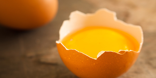 The strongest egg yolk. Солнечный желток. Желток от кашля. Золотой желток. Желтка 2022.