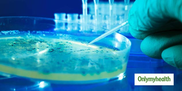 Inside_e coli bacteria