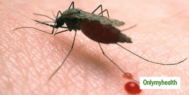 malaria