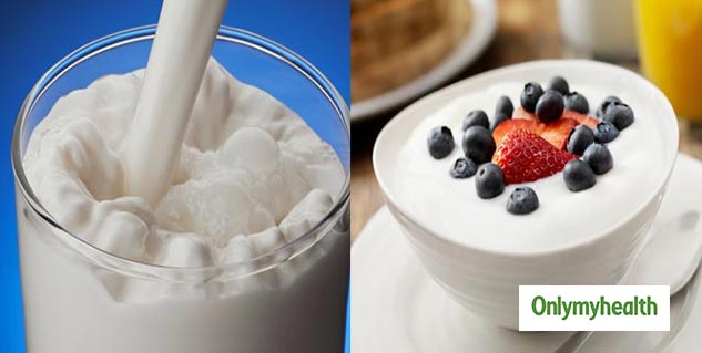 Curd Vs Milk