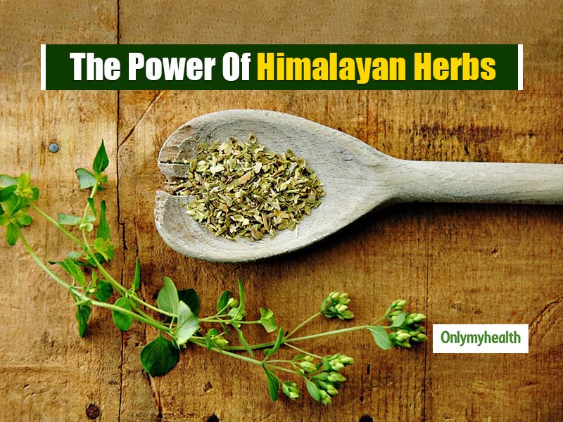 himalayan herbs and spices