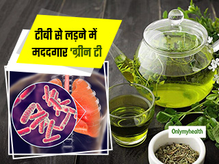 ग्रीन टी के पौधे में वैज्ञानिकों ने खोजा ये खास तत्व, टीबी (TB )को जड़ से खत्म करने में हो सकता है मददगार