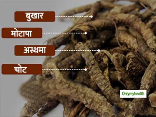 Ayurveda: वजन घटाने और लिवर को स्‍वस्‍थ रखने में मददगार है कुटकी जूस या पाउडर, रोजाना सेवन मिलेंगे ये 5 फायदे