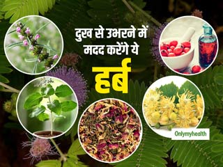 Ayurveda: तन-मन को शांत कर दुख से उभरने में मदद कर सकते हैं ये 5 हर्ब 