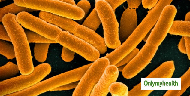 inside_microbes