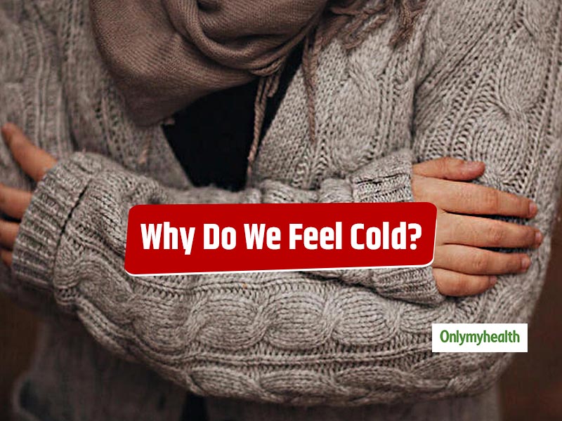 You Feel Cold All These Can Be The 5 Reasons To This