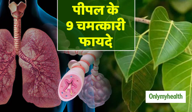 अस्‍थमा और श्‍वसन संबंधी बीमारियों को जड़ से खत्‍म करते है पीपल के पत्‍ते, ऐसे करें प्रयोग