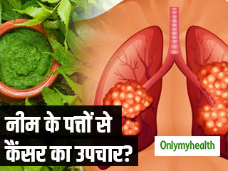 फोड़े-फुंसी से लेकर कैंसर तक को ठीक करते हैं नीम के पत्‍ते, जानें एक्‍सपर्ट की राय 