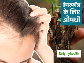 झड़ते और सफेद बालों को तुरंत रोकती है जटामांसी औषधी, घर में भी उगा सकते हैं इसे