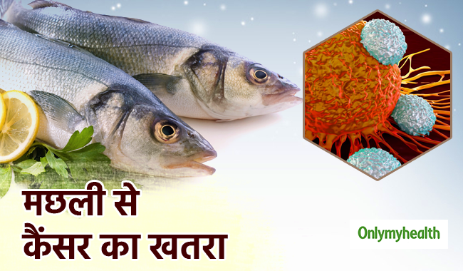 मछली खाने से हो सकता है कैंसर का खतरा, 10 जगहों के सैंपल में पाए गए कई हानिकारक केमिकल्स