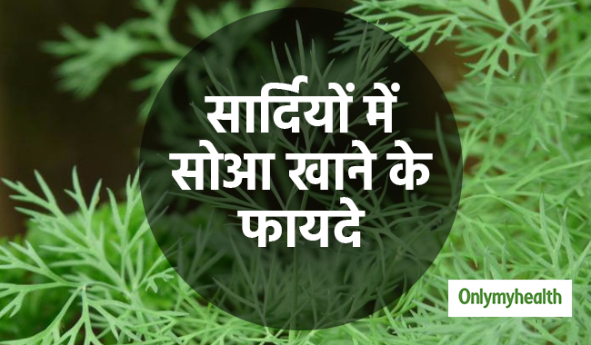 सर्दियों में सोआ खाने से दूर होती है भूख में कमी, कब्‍ज और गैस की समस्‍या 