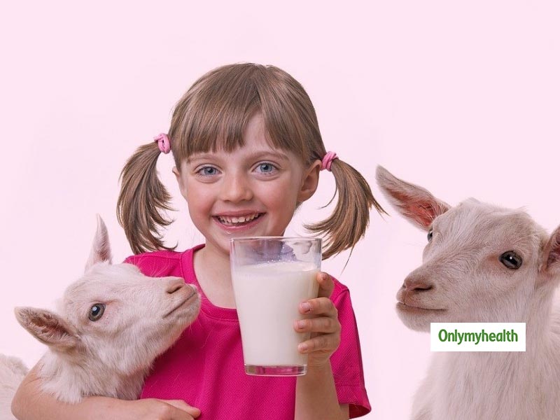 goat milk is good for baby