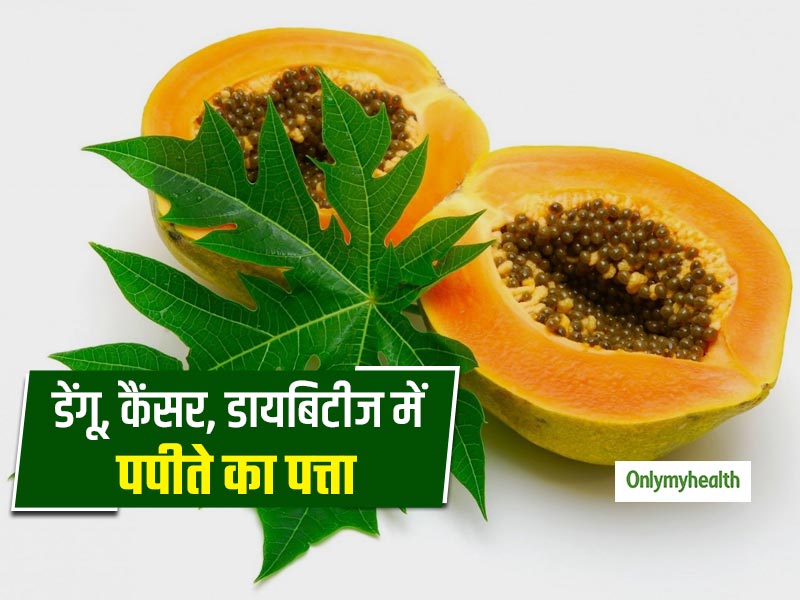 Papaya leaves on sale benefits in hindi