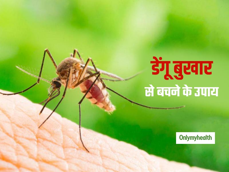 Dengue Fever Prevention Tips: डेंगू बुखार से बचने के लिए अपनाएं ये 5 सरल उपाय, नहीं फैलेगा संक्रमण 