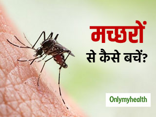 जानें मच्छरों से बचाव के आसान तरीके, बारिश में बढ़ जाता है मच्छरों से फैलने वाले रोगों का खतरा
