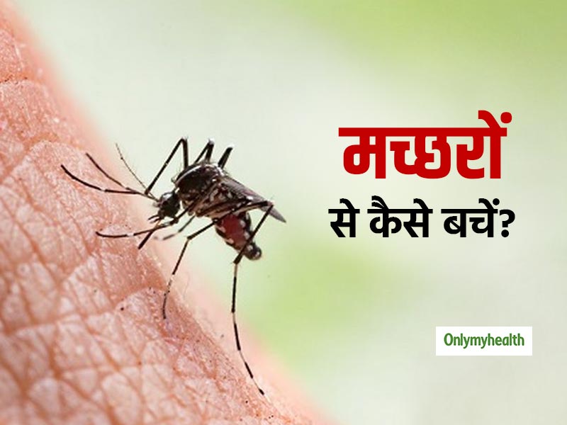 जानें मच्छरों से बचाव के आसान तरीके, बारिश में बढ़ जाता है मच्छरों से फैलने वाले रोगों का खतरा