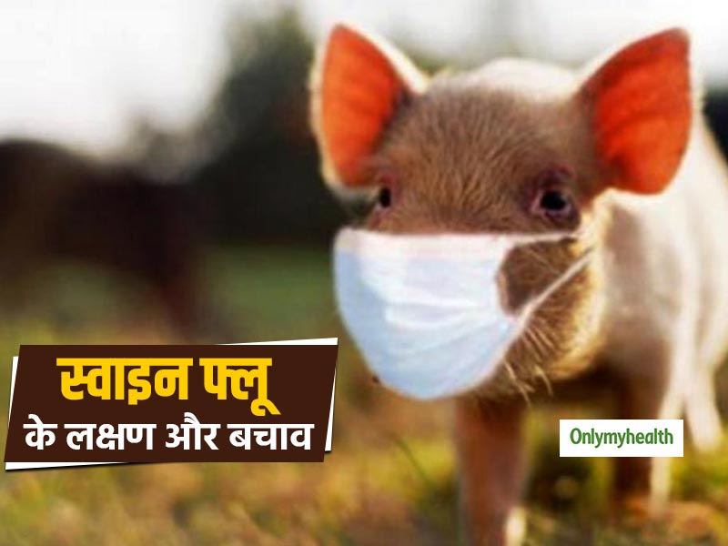 Swine Flu: मानूसन में स्वाइन फ्लू से पहली मौत,  जानें इस घातक बीमारी के लक्षण और बचाव का तरीका 