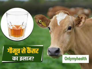 क्या सच है गौमूत्र से कैंसर का इलाज?  जानें इससे जुड़े मिथ और तथ्य 