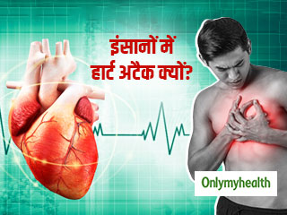 सिर्फ इंसानों को ही क्यों आता है हार्ट अटैक? जानें हृदय रोगों का मुख्य कारण और बचने के टिप्स