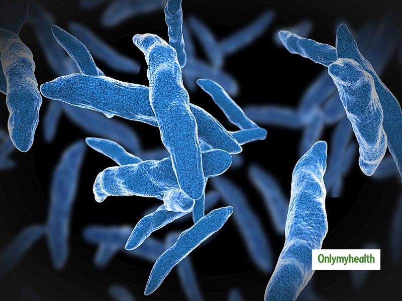 Drug-resistant tuberculosis treatment reversed: Scientists look to restore antibiotic's effectiveness
