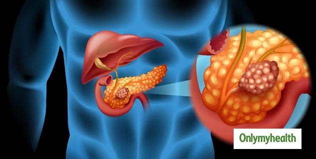 Importance of Pancreas And It's Role in Digestive System in Hindi