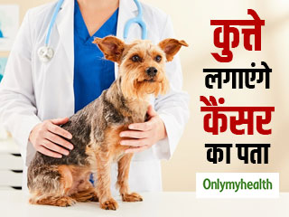 क्या सच में कुत्ते लगा सकते हैं कैंसर का पता, वो भी एडवांस टेक्नोलॉजी से भी सटीक? जानें