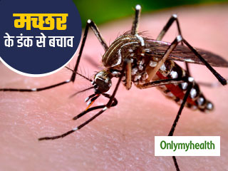 Mosquito Bites Remedies: मच्‍छर के काटने पर तुरंत करें ये 1 उपचार, मिनटों में मिलेगी राहत     