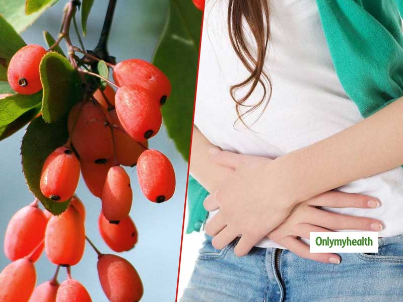 Barberries Health Benefits: उल्टी, दस्त और डायबिटीज में फायदेमंद है बर्बेरिस का सेवन, जानें 6 लाभ