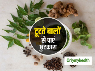 Hairfall Cure: बालों का झड़ना रोक देगा नीम के पत्‍तों से तैयार शैम्‍पू, तेल और हेयरपैक, जानें बनाने और इस्‍तेमाल का तरीका