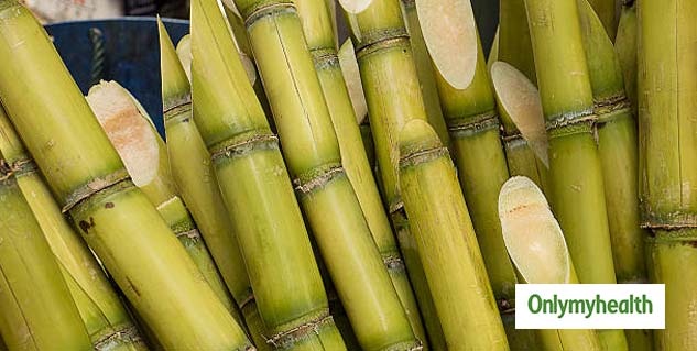 Sugarcane