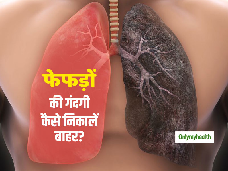 World Lung Cancer Day 2020: फेफड़ों से वायु प्रदूषण को कैसे करें साफ: जानें ये 3 प्राकृतिक उपाय