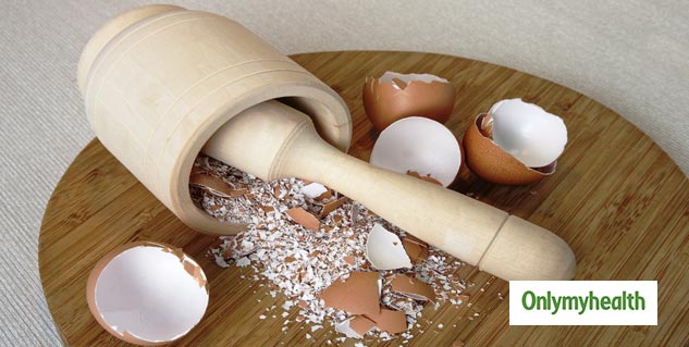 Inside_EGG SHELLS USE
