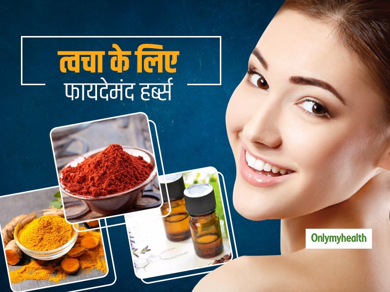 Skin Care: कील-मुहासों की छुट्टी कर, ग्‍लोइंग स्किन पाने में मदद करते हैं ये 5 आयुर्वेदिक हर्ब्‍स 