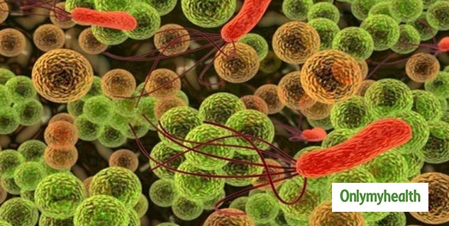 Inside_c02 bacteria