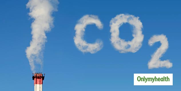 co2 eating bacteria