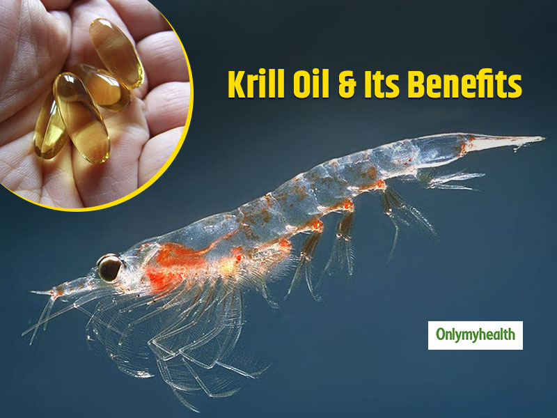 5 Science-Backed Krill Oil Benefits That You Must Know | OnlyMyHealth