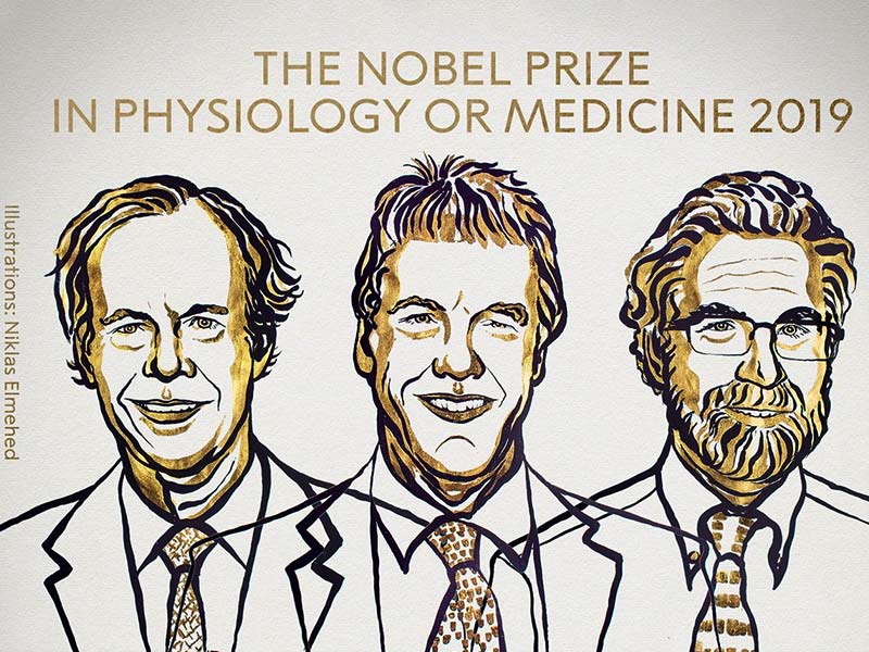 Nobel Prize 2019 Winners List: चिकित्‍सा क्षेत्र में 3 वैज्ञानिकों को नोबेल पुरस्‍कार, जानें कौन हैं ये महान खोजकर्ता