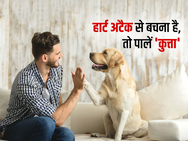 Heart Health: हार्ट अटैक के मरीज और अकेले रहने वाले लोग पालें कुत्ता, लंबी होगी उम्र और बीमारियों से रहेंगे दूर  