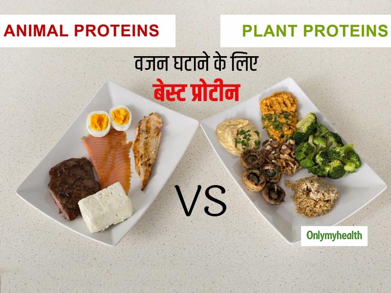 वजन घटाने के लिए कौन सा प्रोटीन स्रोत है बेहतर? जानें पौधों और जानवरों से मिलने वाले प्रोटीन में अंतर