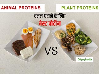 वजन घटाने के लिए कौन सा प्रोटीन स्रोत है बेहतर? जानें पौधों और जानवरों से मिलने वाले प्रोटीन में अंतर