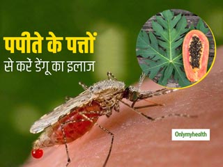 Dengue Treatment: डेंगू में पपीते के पत्‍तों का ऐसे करें इस्‍तेमाल, बढ़ जाएगा प्‍लेटलेट्स काउंट