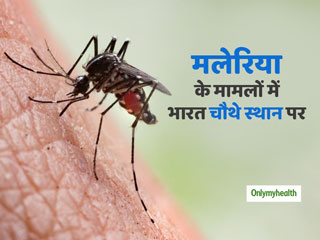 चेन्नई में मलेरिया के सबसे ज्यादा 71 फीसदी मामले, बढ़ते मामलों को रोकने के लिए विशेषज्ञों ने सुझाए तरीके