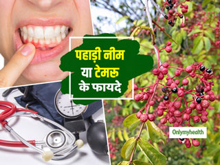 हाई ब्लड प्रेशर और पायरिया का रामबाण इलाज है 'पहाड़ी नीम' या टेमरू (तिमूर), जानें इसके 5 फायदे