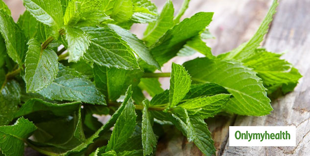 5 Homemade Herbal Beauty Products Mint Leaves For Every Skin