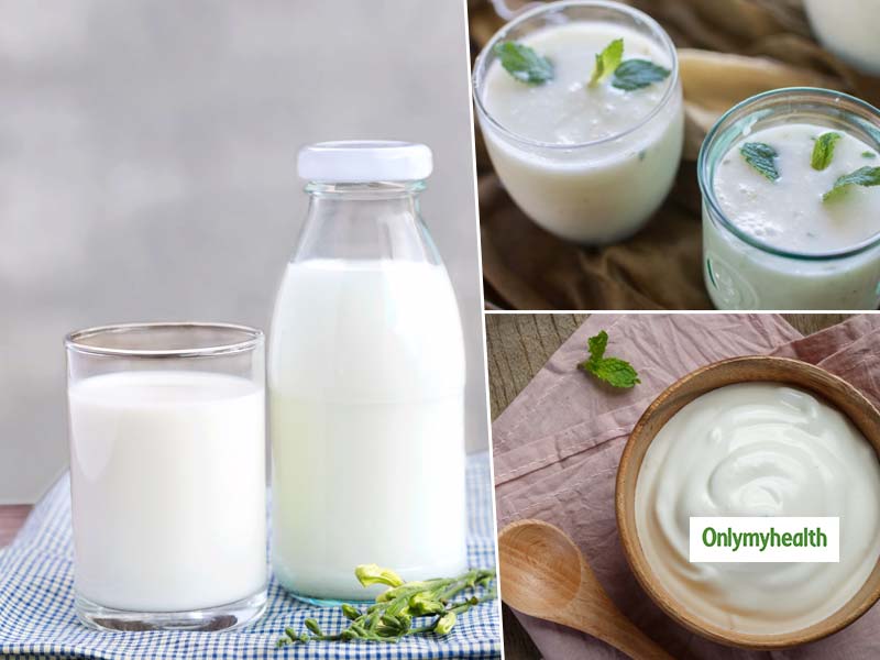 Milk Vs Curd Vs Buttermilk: What Is The Right Time To Consume Them?
