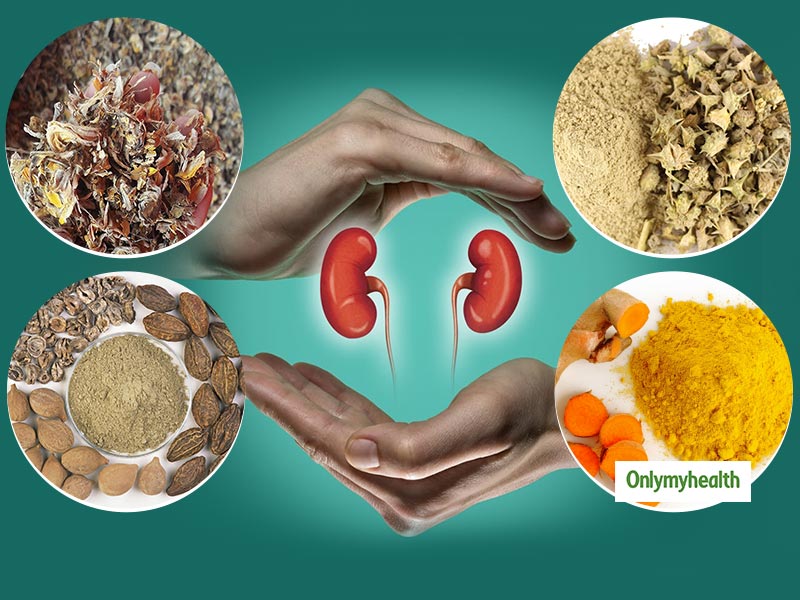 Best Ayurvedic Herbs To Keep Liver And Kidney Healthy