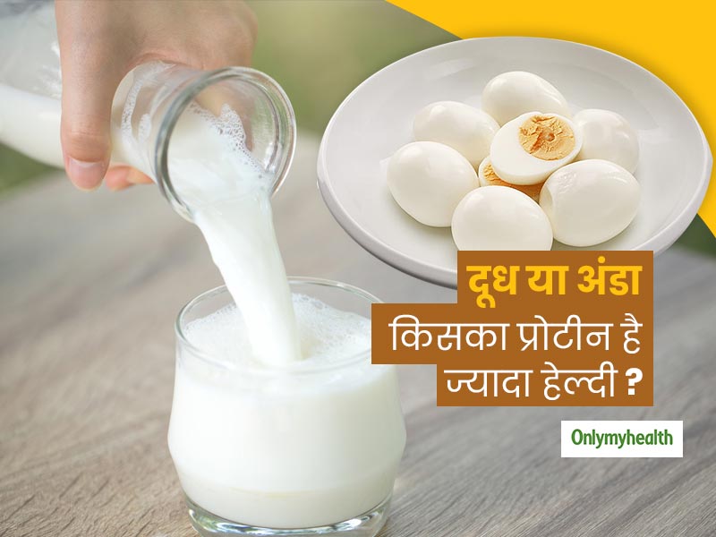 दूध या अंडा, किसका प्रोटीन है ज्यादा हेल्दी? क्या आप एक साथ अंडे और दूध का सेवन कर सकते हैं?