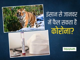 इंसानों से जानवर में कोरोना फैलने का नया केस आया सामने, पालतू जानवरों की देखरेख में क्या सावधानियां हैं जरूरी?